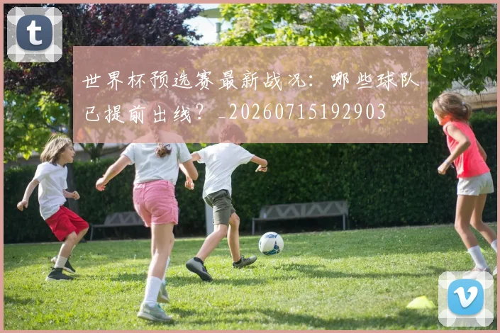 世界杯预选赛最新战况：哪些球队已提前出线？_20260715192903